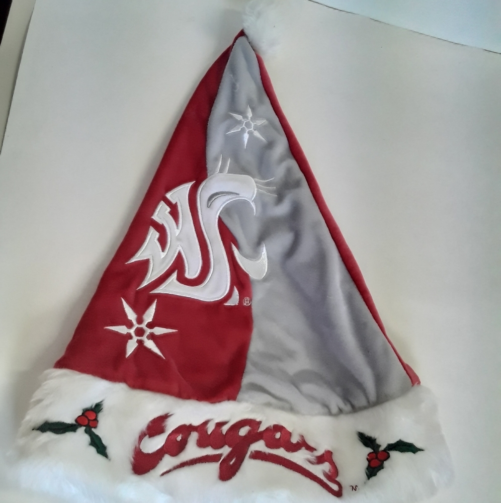 Christmas hat Cougar